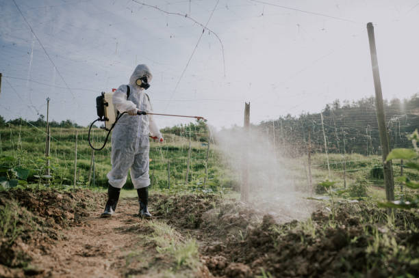 Best Pest Prevention Services  in Kittitas, WA