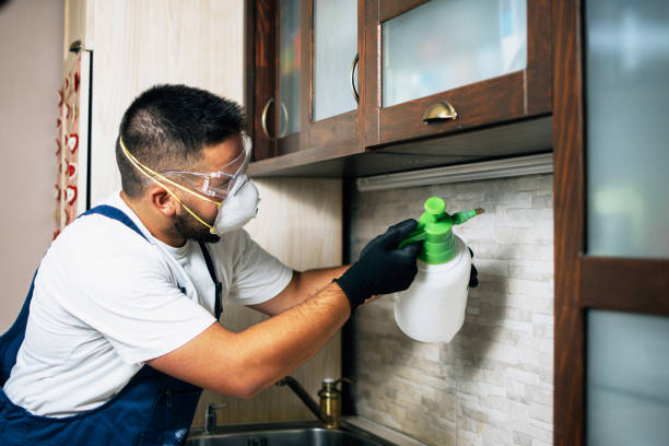 Best Affordable Pest Control Services  in Kittitas, WA