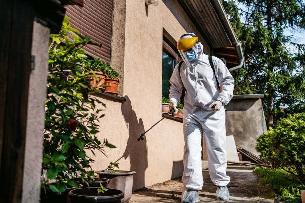 Wasp Removal Services in Kittitas, WA