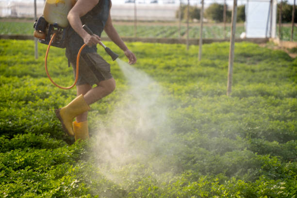 Reliable Kittitas, WA Pest Control Solutions