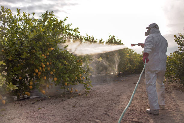 Best Bed Bug Extermination  in Kittitas, WA