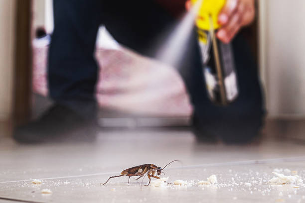 Best Mosquito Control Services  in Kittitas, WA