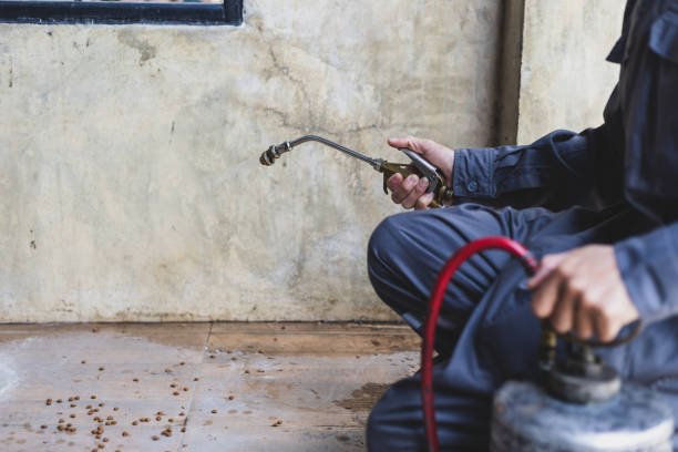 Best Pest Control for Businesses  in Kittitas, WA